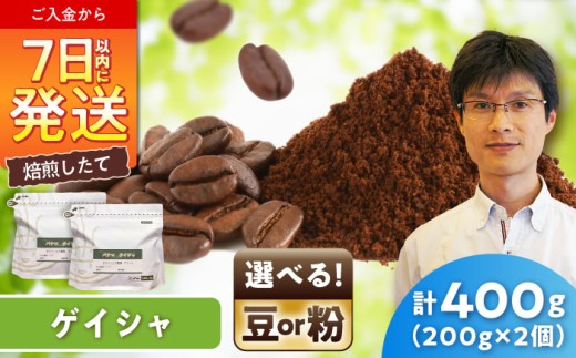 ゲイシャコーヒー(粉)　タラマンカス農園　200g×2 / 珈琲 コーヒー ゲイシャ / 瀬戸市 / Ｃｏｆｆｅｅ　ＳＡＫＵＲＡ [BBAB131]