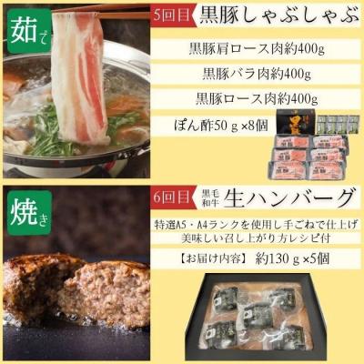 ふるさと納税 肝付町 <定期便・全6回>肝付町セレクト定期便《簡単調理で肉を楽しむ定期便B》　F90005 |  | 03