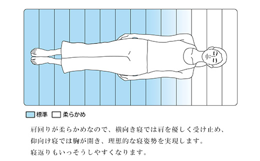 エアウィーヴ スマートZ01　特別仕様 シングル　折りたたみ 三つ折り マットレス マットレスパッド パッド 日本製 敷き布団 敷布団 コンパクト収納 寝具 洗える 洗濯できる ギフト 贈答用 エアウ