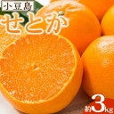 【ふるさと納税】小豆島せとか 約3kg | フルーツ 果物 くだもの 食品 人気 おすすめ 送料無料