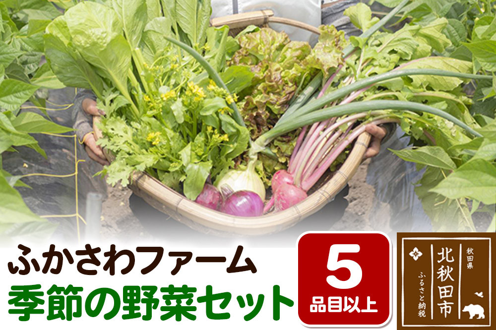 
            ふかさわファーム 季節の野菜セット
          