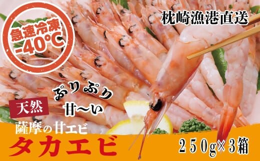 天然タカエビ250g×3箱　A1−1【配送不可地域：離島】【1524606】