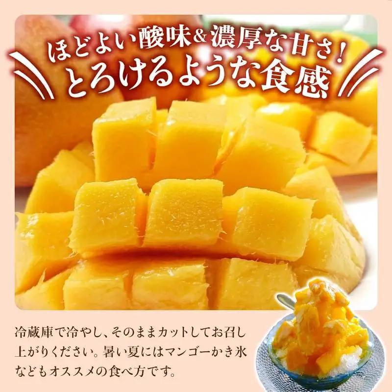 【訳あり】 アップルマンゴー 約1kg 2～4玉 