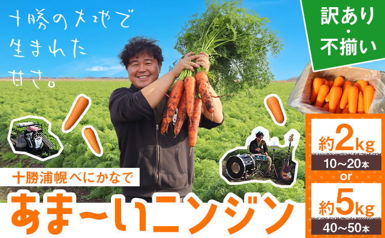 
            甘～いニンジン 十勝 浦幌べにかなで 【訳あり・不揃い】 約2kg 10～20本 or 約5kg 40～50本 農事組合法人レギューム《12月上旬から5月上旬頃出荷》北海道 浦幌町 人参 にんじん 安心 安全 野菜 お野菜 やさい 紅奏 シャキシャキ 甘い st-p
          