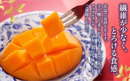 【2025年発送】＜優品＞幻のキーツマンゴー約2kg（化粧箱）2玉～3玉