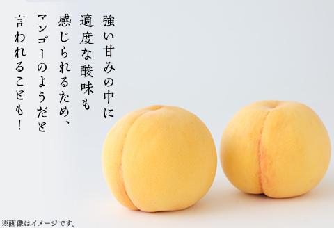 【ご家庭用】岡山県産 黄金桃 5～7玉