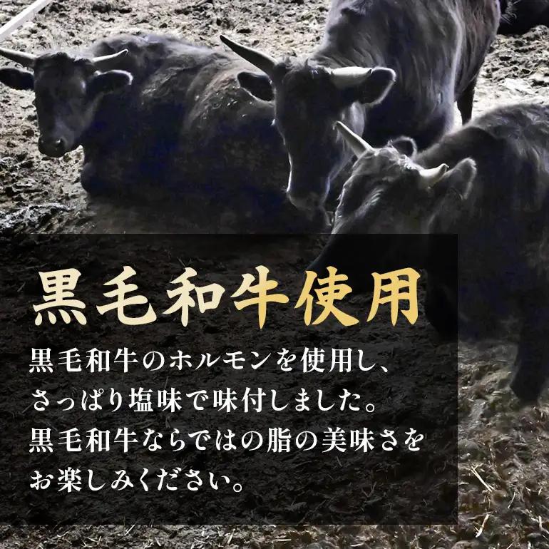 味楽苑の塩ホルモン 600g (200g×3袋)│黒毛和牛 ホルモン 牛 小分け 冷凍 さっぱり 塩味 和牛 焼肉 もつ鍋 おつまみ 料理 味付 パック お手軽 簡単 (A01-001)