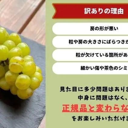 訳ありぶどう 瀬戸ジャイアンツ 2房 合計1.0kg以上  岡山県産 ぶどう