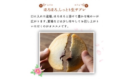 700009 はまなす街道[ミルクチョコレート12枚・ホワイトチョコレート12枚]