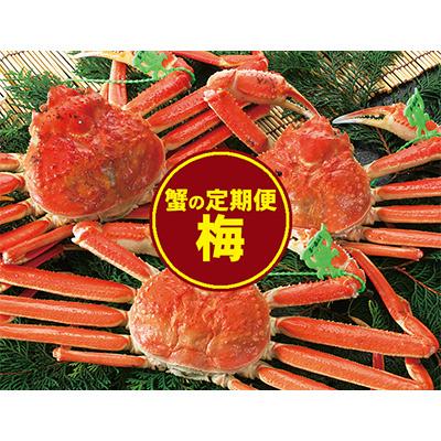 ふるさと納税 養父市 【発送月固定定期便】カニの定期便(梅)＜冷凍発送＞全3回