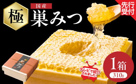  【TVで紹介！】 はちみつ 国産純粋蜂蜜 極巣みつ 310g 非加熱 はちみつ ハチミツ 生はちみつ ローハニー オススメ 贈答 贈り物 プレゼント 八女市 183-005