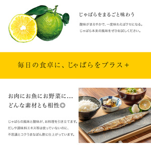 ぽん酢 じゃばらぽん酢 じゃぽん 360ml×3本【njb361-m】