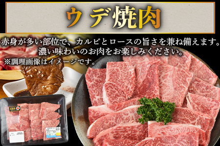 ＜宮崎牛ウデ焼肉 400g ＋宮崎県産黒毛和牛こま切れ 100g＞2か月以内に順次出荷【a0394_my_x3】