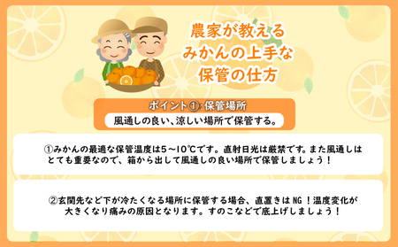 【先行予約】 熟成 みかん 10kg 秀品 M~L 国産 徳島県 勝浦産 果物 蜜柑 温州 産地直送 数量限定 