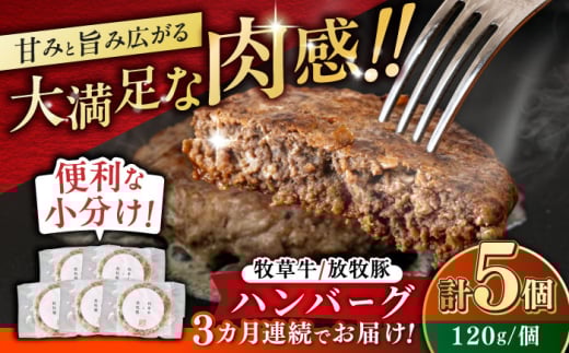 【全3回定期便】　【牧草牛×放牧豚】ハンバーグ 5個 《厚真町》【GOODGOOD株式会社】 ハンバーグ 牛肉 豚肉 ジビエ 小分け 冷凍配送 北海道 [AXBP027]