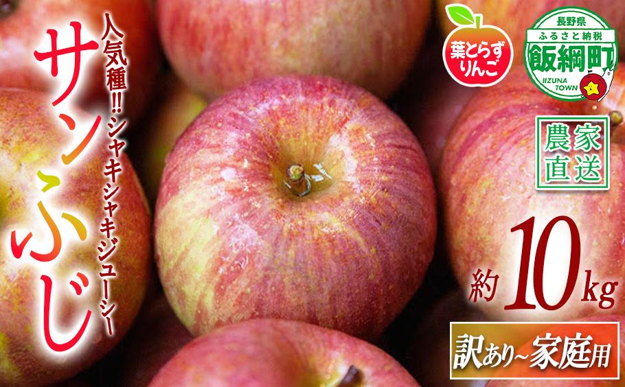 
                  りんご 葉とらず サンふじ 家庭用 〜 訳あり 10kg フレッシュフルーツミカズキ 2026年11月下旬頃から2027年1月下旬頃まで順次発送予定 令和8年度収穫分 傷 不揃い リンゴ 林檎 果物 フルーツ 信州 長野 予約 農家直送 長野県 飯綱町 [1669]
                