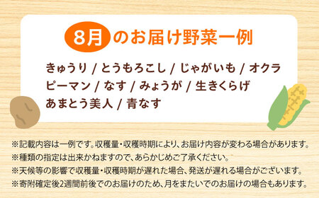 【数量限定・先行予約8】厳選！旬を味わう高槻野菜詰合せセット（10種～15種）【2024年8月発送】