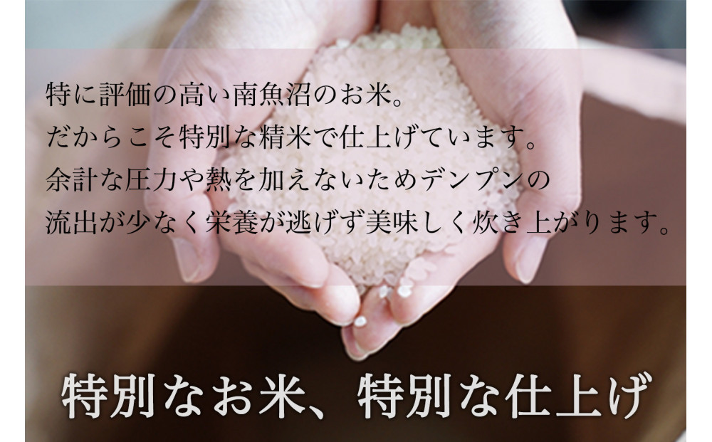 【全3回】令和7年産 南魚沼産コシヒカリ 精米 5kg×3袋 3ヶ月連続