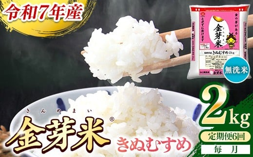 
                  【定期便】BG無洗米・金芽米きぬむすめ 2kg×6ヵ月 （毎月）【令和7年産 6ヶ月 時短 健康 米 BG 無洗米 計12kg 精米 半年間 島根県産 節水 時短 アウトドア キャンプ 東洋ライス おすすめ 島根県 安来市】
                