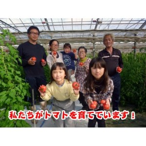 栗田温室農園の王様トマト(4kg箱)農林水産大臣賞受賞!【1343319】