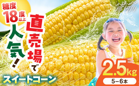 とうもろこし 約2.5kg  [GDU002] とうもろこし とうもろこし とうもろこし とうもろこし とうもろこし とうもろこし
