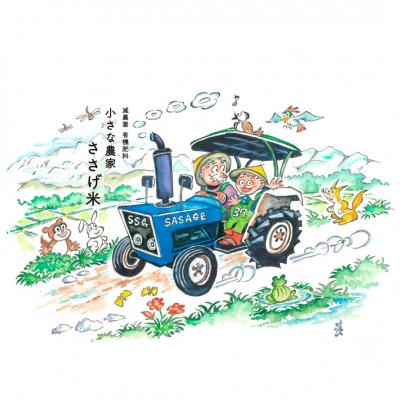 ふるさと納税 三条市 減農薬有機肥料栽培 新潟県産こがねもち 3kg もち米 令和7年産【010S439】 |  | 03