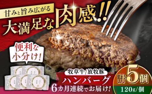 【全6回定期便】　【牧草牛×放牧豚】ハンバーグ 5個 《厚真町》【GOODGOOD株式会社】ハンバーグ 牛肉 豚肉 合い挽き 小分け 冷凍配送 北海道 [AXBP028]