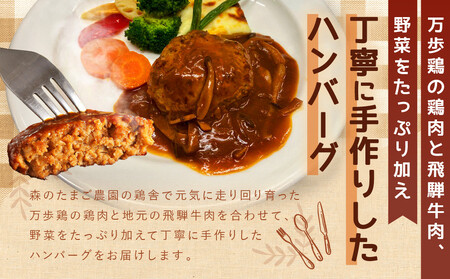 自家製鶏肉＆飛騨牛ミンチのハンバーグ 森のたまご農園 LW007｜ハンバーグ