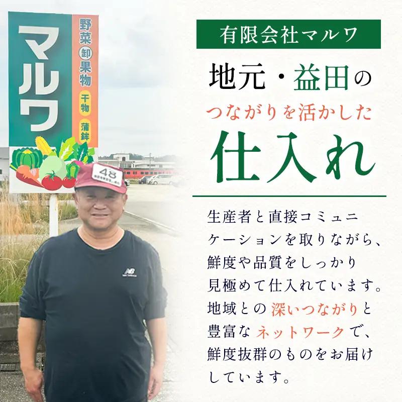 B-1000 朝採れ種なしぶどうピオーネ 2kg
