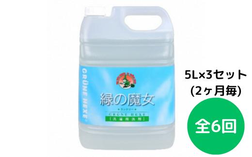 ＜2ヵ月毎定期便＞緑の魔女ランドリー5L×3本 全6回  洗剤+パイプクリーナーの機能可　次世代型環境配慮型洗剤 【洗剤 液体 液体洗剤 洗濯洗剤 洗濯 環境配慮 洗濯用洗剤 衣類洗剤 日常品 贈答品 ギフト プレゼント 大容量】