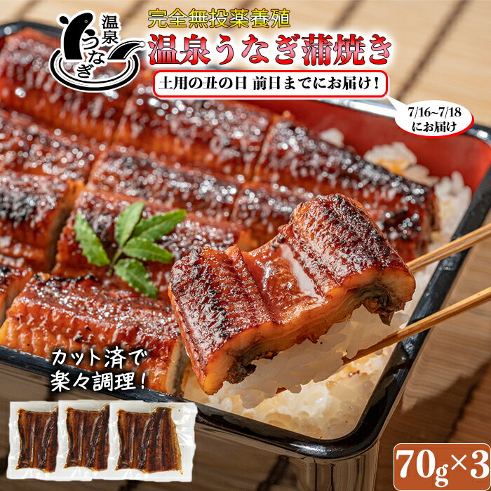 【ふるさと納税】【まだ間に合う 土用の丑 7/24(水)までにお届け 】 完全無投薬養殖 国産 温泉うなぎ蒲焼 (カット) 70g×3＜104-058_5＞