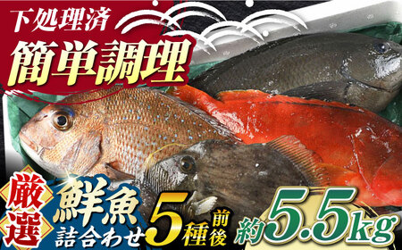 【期間限定！】対馬産 鮮魚 詰め合わせ 5種前後 5.5ｋｇ《対馬市》【対海】新鮮 天然 直送 冷蔵 セット[WAH023]