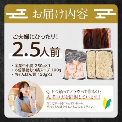 Z86-17 博多特選もつ鍋（2.5人前)（醤油味） もつ鍋