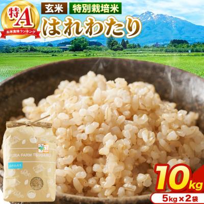 ふるさと納税 弘前市 米【特別栽培米】はれわたり 玄米 10kg(5kg×2袋)R7年産 特A|24_mft-081001