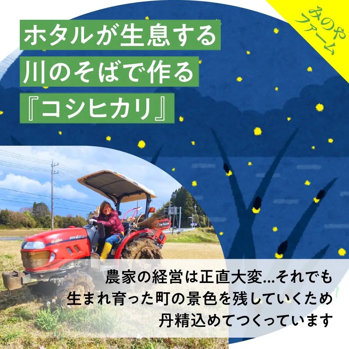 Ｌ７０５　２０２６年度田んぼ区画オーナー制度（２区画）【企業・団体様向け～１作業日につき最大１１名様受け入れ可能】 ONJX001
