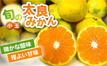 ★小玉★早熟みかん 計3kg（2.6kg＋400g傷み保証分） / 佐賀県 / 山本農園 [41ATBT005]