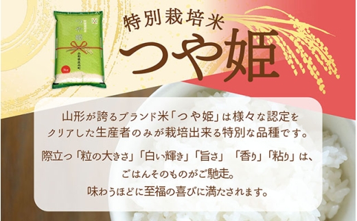 【令和8年産】庄内町産 特別栽培米 つや姫 12kg 5kg×2袋 2kg×1袋 余目産 余目町農協 あまるめ ブランド米 米 国産 単一原料米 山形 庄内平野 庄内