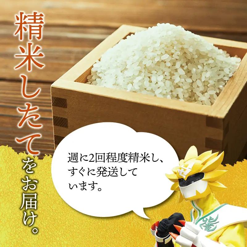 【定期便6ヶ月】令和8年産 新米 無洗米 ななつぼし 5kg×6回【uni500-nana-m5x6-R8】