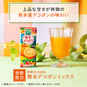 カゴメ 野菜生活100 熊本デコポンミックス 195ml 24本 1日分のビタミンC 砂糖不使用 紙パック ビタミンＣ 健康 飲料 果汁 贈答用 熊本 デコポン 季節限定 期間限定 [12月より順次発