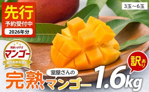 
                  【2026年 発送】室屋さんの完熟マンゴー(訳あり品)約1.6kg 3～6玉(中園久太郎商店/IB016-002) マンゴー フルーツ 果物 旬 夏 指宿 いぶすき 鹿児島  完熟  お供え 御供 ギフト 贈り物 プレゼント グルメ 南国 南国フルーツ 果実 マンゴー 太陽 国産 鹿児島県産 果汁
                