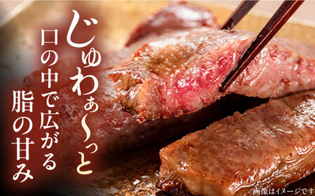 【全2回定期便】博多和牛 サーロイン ステーキ 200g × 2枚《豊前市》【久田精肉店】[VBK002] ステーキ サーロインステーキ 博多和牛ステーキ 絶品ステーキ ステーキ サーロインステーキ 