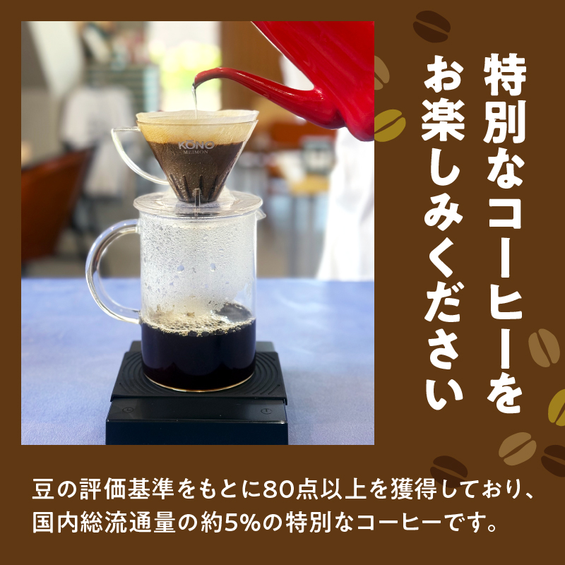 スペシャルティコーヒー【こく】粉 100g×3袋【メール便】 コーヒー 珈琲 粉 自家焙煎 スペシャルティコーヒー 美味しい セット 福岡県 八女市 ポスト投函 簡易包装 訳あり