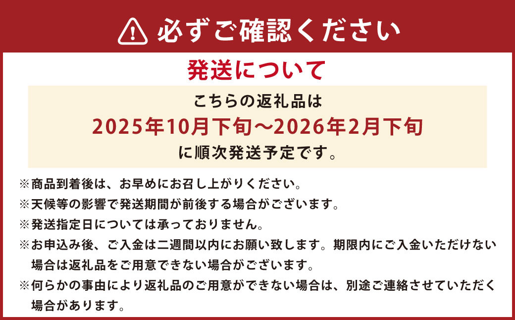 みかん 10kg(サイズ2L～2S) 蜜柑