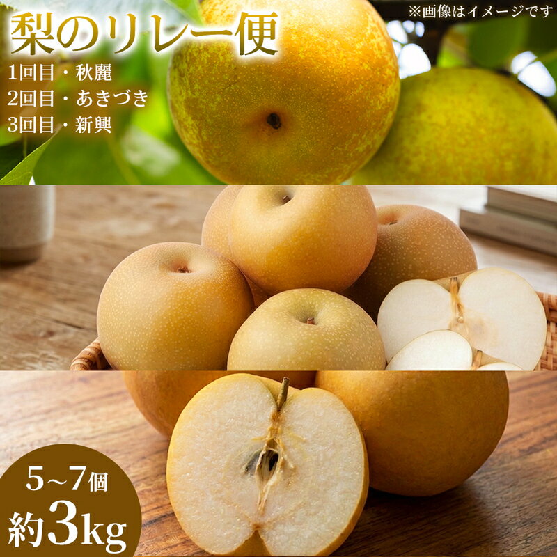 【ふるさと納税】【旬の梨を味わう】熊本県産 リレー便(各5～7個 )(約3kg)(1回目)秋麗(2回目)あきづき(3回目)新興 梨 フルーツ 詰め合わせ 食べ比べ 甘い 濃厚 農家直送 ギフト 贈答用 家庭用 お取り寄せ 熊本県　お届け：2026年8月15日～2026年10月31日