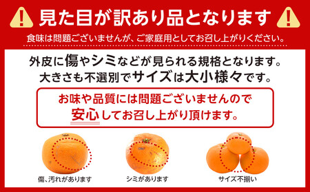 ［先行予約］ご家庭用 有田みかん 約2kg 2S～Lサイズ 混合