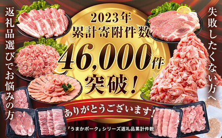 大容量！ 熊本 うまか ポーク 6種 バラエティ セット たっぷり！ 4.5kg 《2月中旬-5月末頃出荷》 しゃぶしゃぶ 小分け 切り 落とし 熊本県産 冷凍 豚肉 ロース バラ モモ ヒレ 450