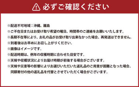 啓翁桜 約90cm×10本 桜 さくら サクラ 花 【2025年1月上旬～2月下旬発送予定】 