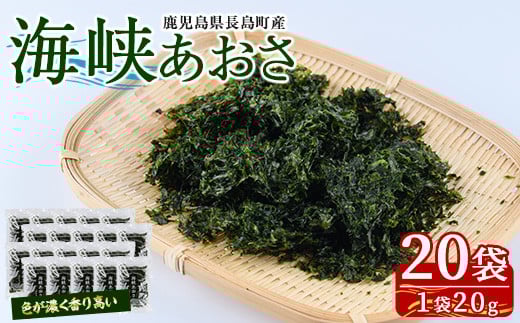 
鹿児島県長島町産 乾燥あおさ(400g)【礒永水産】iso-6041
