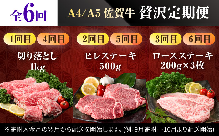 【肉のプロが厳選！】【全6回】佐賀牛 贅沢定期便【株式会社いろは精肉店】 [IAG075]