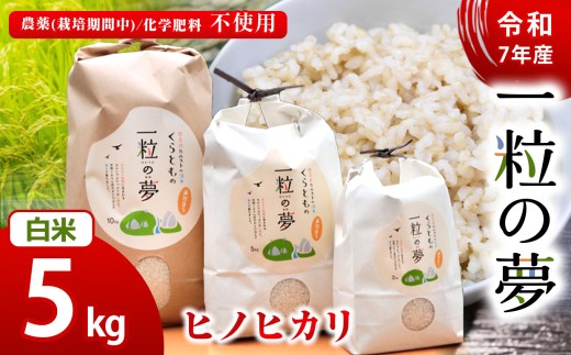 白米 ヒノヒカリ 5kg 農薬 ( 栽培期間中不使用 )・ 化学肥料不使用 令和7年産 米 ｜ 精米 玄米 米 ヒノヒカリ 美祢市 美祢 山口県 結び家 くらとも